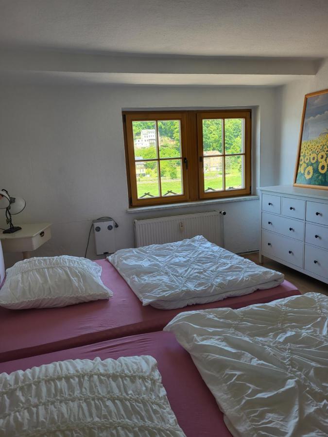 Апартаменти Elbblick Кенігштайн-ан-дер-Ельбе Екстер'єр фото